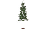 Star Trading Weihnachtsbaum Tallis Indoor, Grün, 200.00 cm Höhe