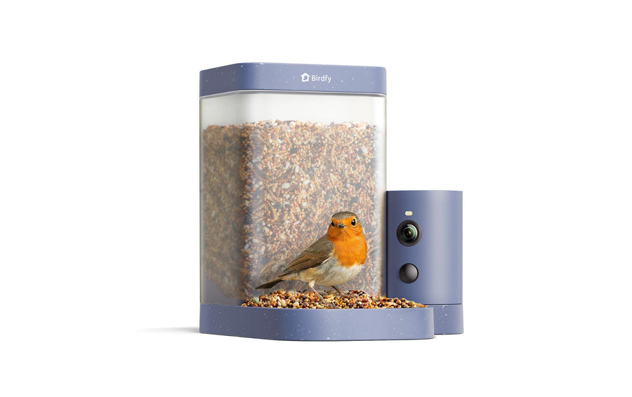 Birdfy Vogelhaus mit Kamera 60 fps 1080p