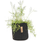 Gorilla Gardening Pflanzsack Schwarz 39 Liter