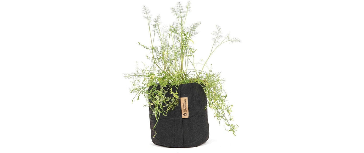 Gorilla Gardening Pflanzsack Schwarz 39 Liter