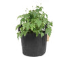 Gorilla Gardening Pflanzsack Schwarz 39 Liter