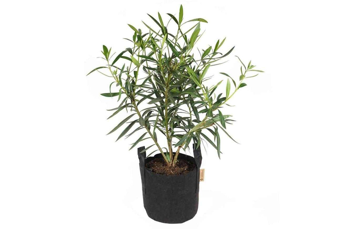 Gorilla Gardening Pflanzsack Schwarz 39 Liter