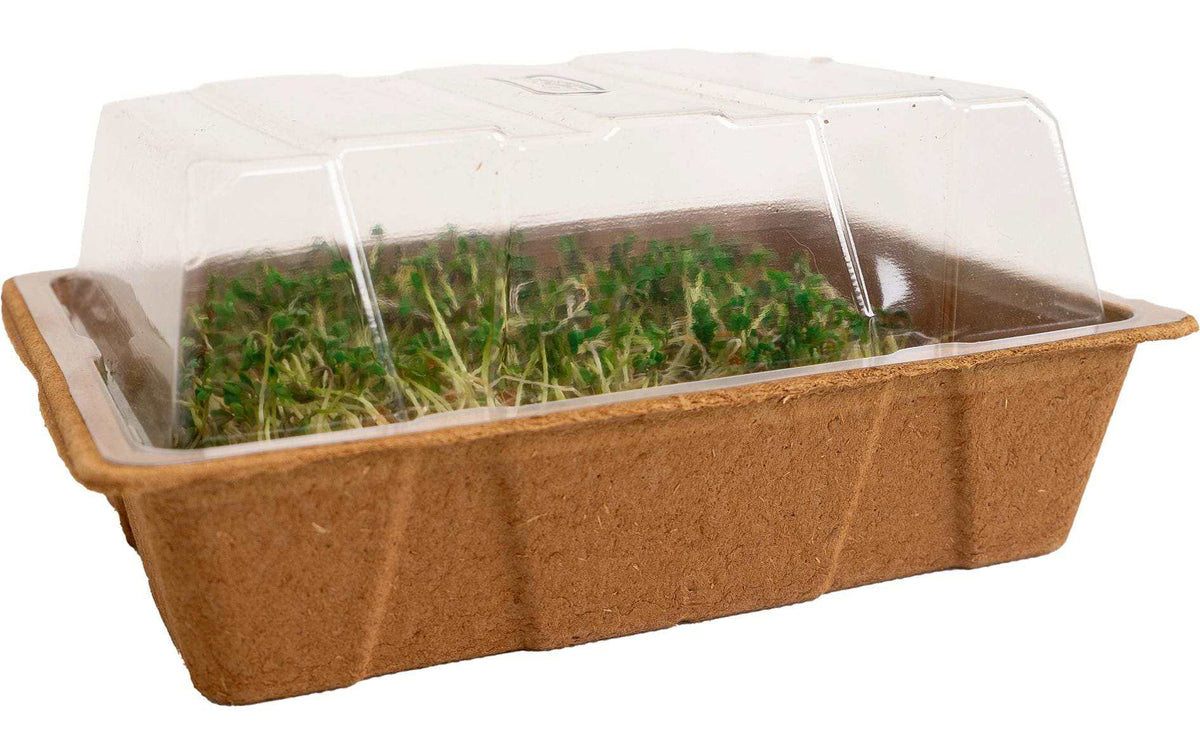 Romberg ECO MINI biologisch abbaubare Zelluloseschalen