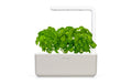 Click and Grow Kräutertopf Smart Garden 3 Beige Automatische Bewässerung Garten & Outdoor > Pflanzen > Pflanzengefäße Click and Grow