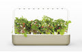 Click and Grow Kräutertopf Smart Garden 9 Beige Kunststoff Garten & Outdoor > Pflanzen > Pflanzengefäße Click and Grow