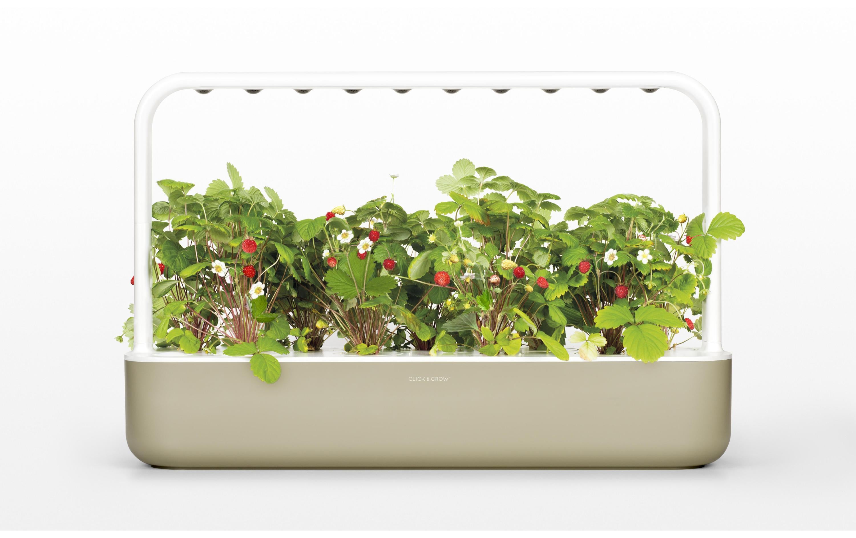 Click and Grow Kräutertopf Smart Garden 9 Beige Kunststoff Garten & Outdoor > Pflanzen > Pflanzengefäße Click and Grow