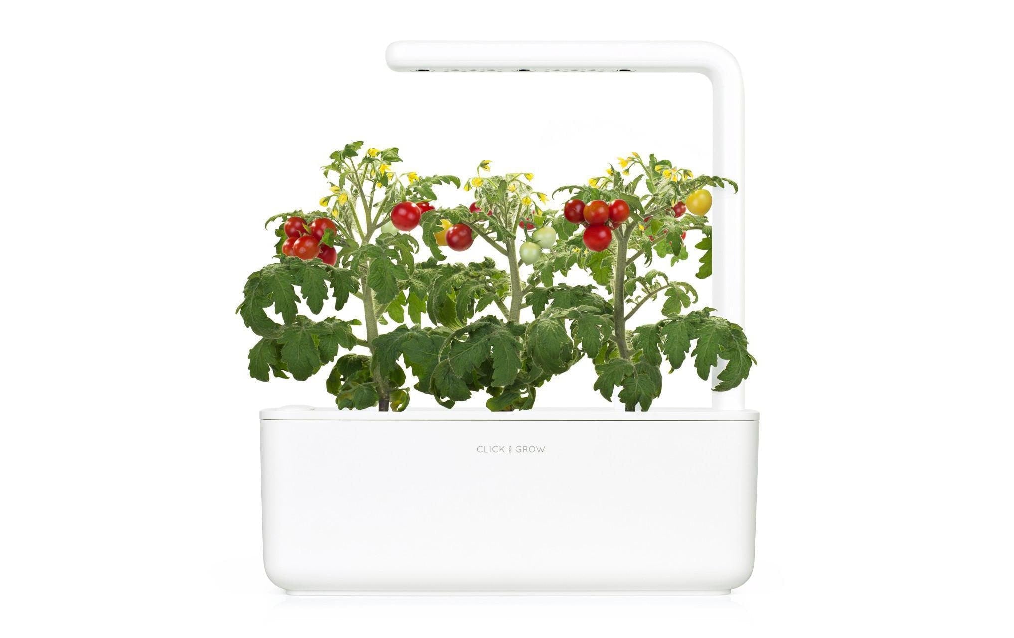 Smart Garden 3 Weiss