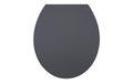 diaqua® Toilettensitz Hollywood Grey Absenkautomatik, Grau