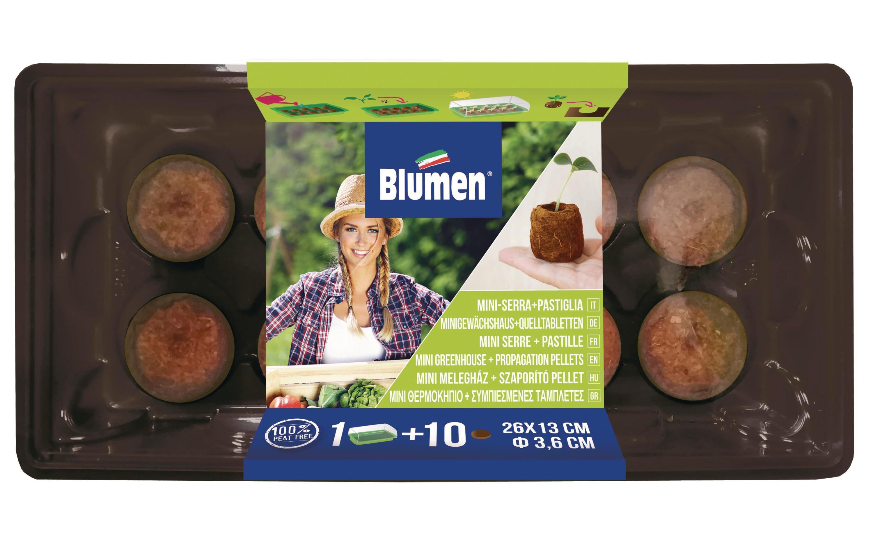 Blumen Gewächshaus 26x13 cm, Ø 36 mm + 10 Kokosquelltabletten