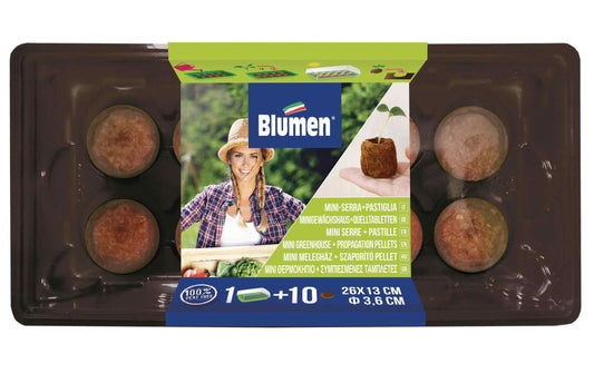 Blumen Gewächshaus 26x13 cm, Ø 36 mm + 10 Kokosquelltabletten