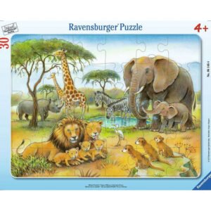 Ravensburger