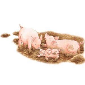 Ravensburger