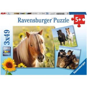 Ravensburger