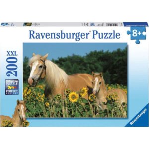 Ravensburger
