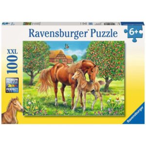 Ravensburger