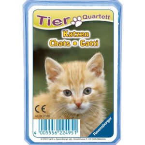 Ravensburger