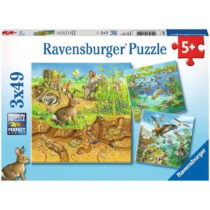Ravensburger