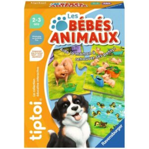 Ravensburger