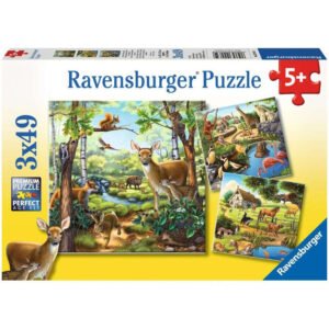 Ravensburger