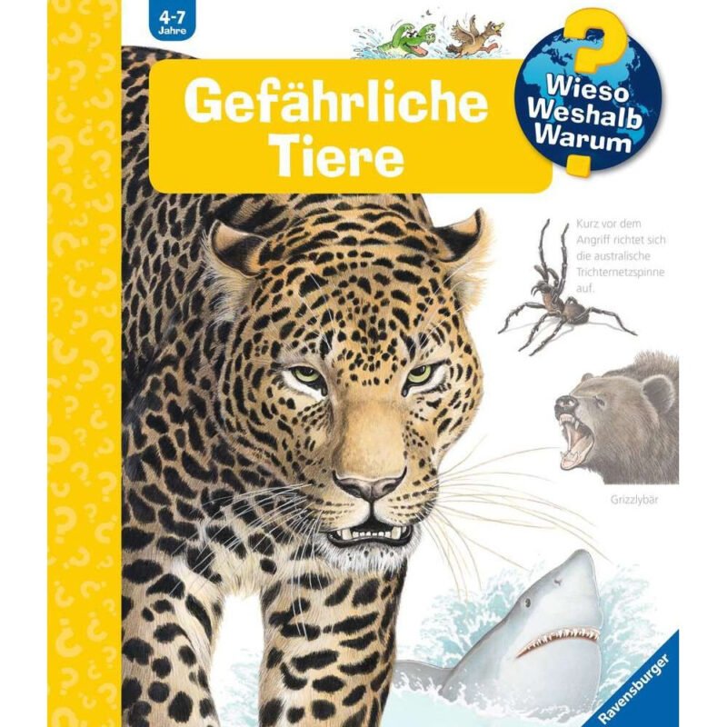 Ravensburger