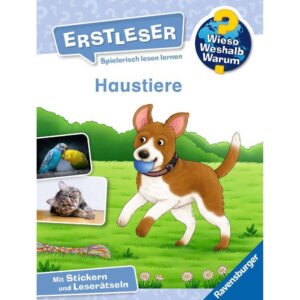 Ravensburger