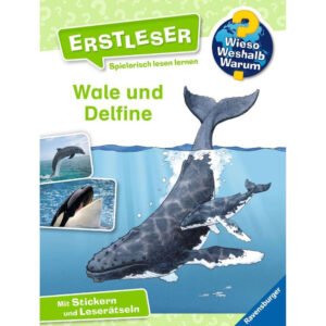 Ravensburger