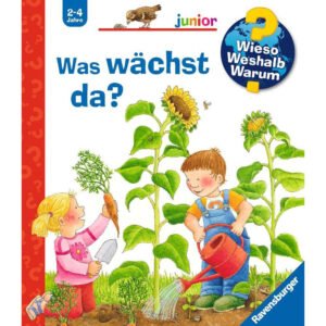 Ravensburger
