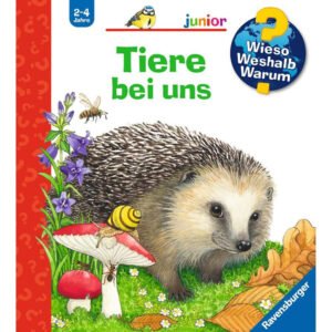 Ravensburger