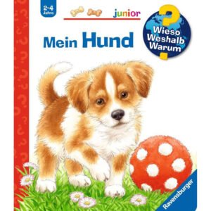 Ravensburger