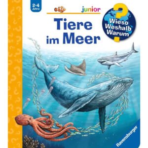 Ravensburger