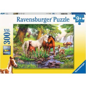 Ravensburger